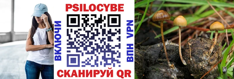 Псилоцибиновые грибы прущие грибы  Сертолово 