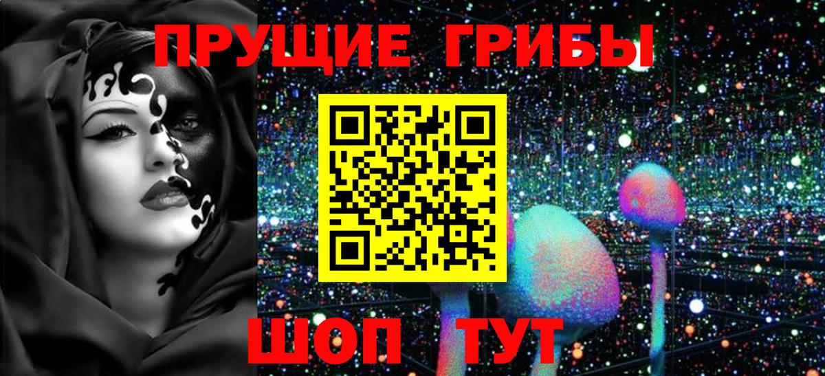 Галлюциногенные грибы Psilocybe  Сертолово 