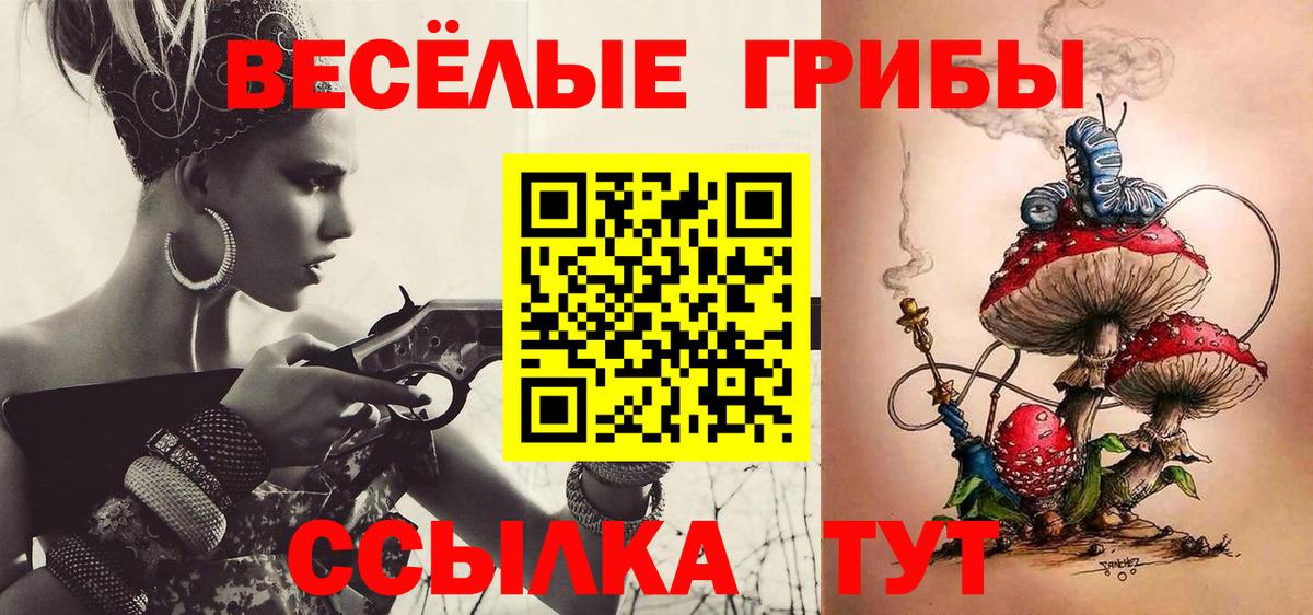 Псилоцибиновые грибы ЛСД Сертолово