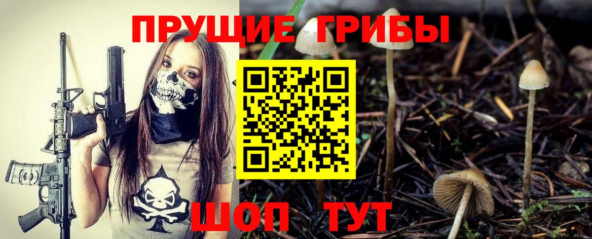 Псилоцибиновые грибы прущие грибы Сертолово